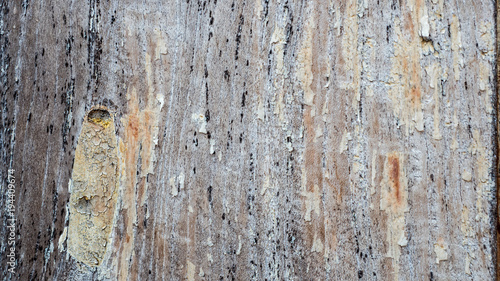 wood texture old background