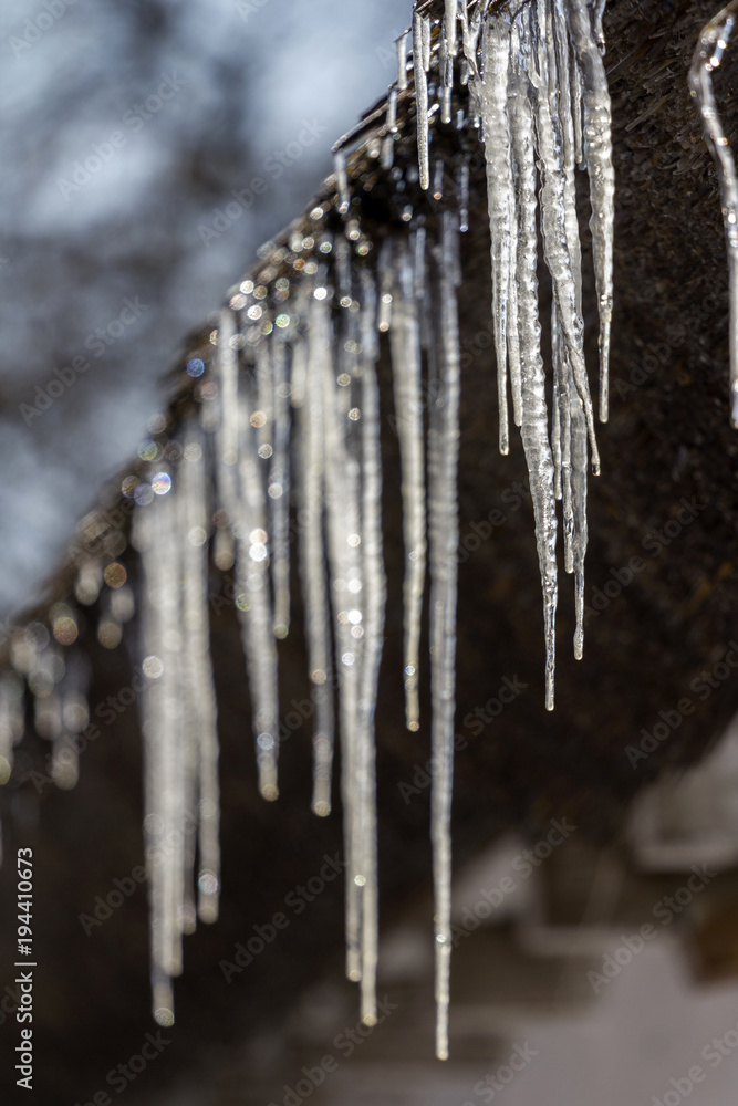 Icicles on a thatch Icicles on a thatch