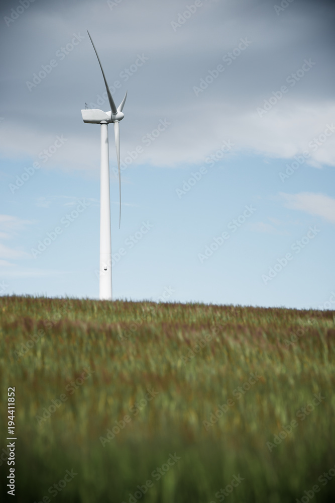 Fototapeta premium Wind energy concept