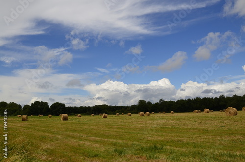 Countryside of the Loire Valley, France June 26, 2017. Fields with bales ready to be harvested.