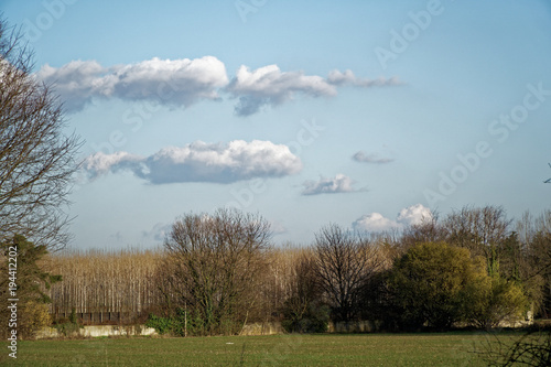 Agriculture field landscape, empty ground, blue sky and clouds in springtime photo