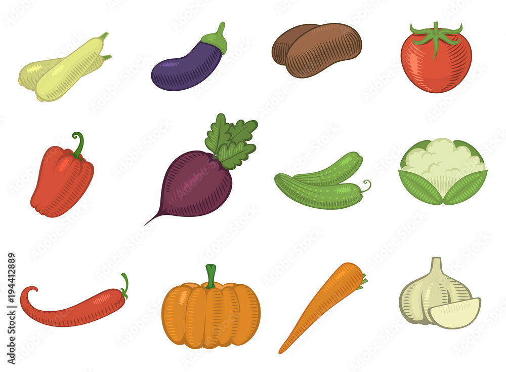 vector vegetables healthy tomato, carrot, potato vegetarians pumpkin organic food modern vegetably webshop illustration vegetated symbols set isolated on background vector vegetables healthy tomato, carrot, potato vegetarians pumpkin organic food modern vegetably webshop illustration vegetated symbols set isolated on background