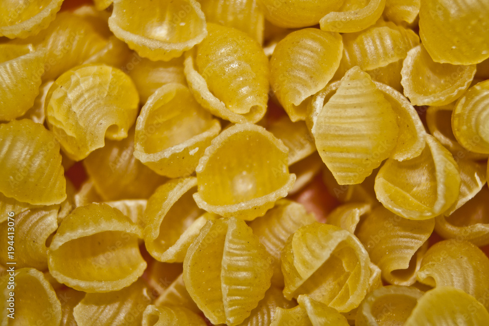 macaroni isolated on white background macaroni isolated on white background