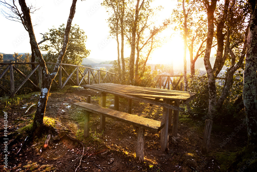 Fototapeta premium place to relax in the woods