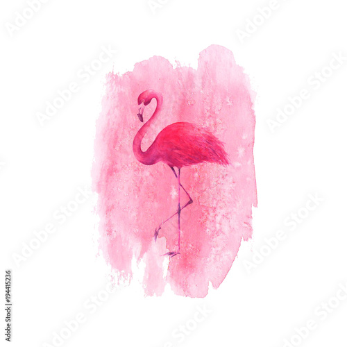 Flamingo on watercolor pink...