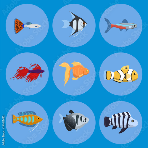 Exotic tropical aquarium fish different colors underwater ocean species aquatic nature flat vector illustration