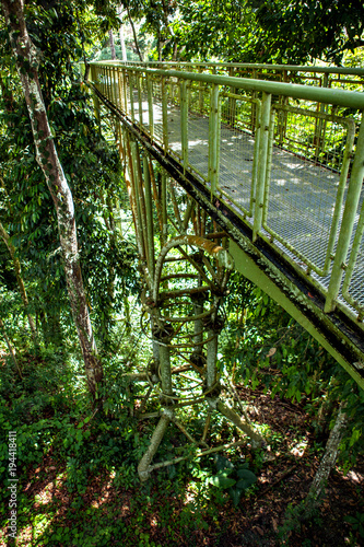Canopy Walk Tower in the Rainforest Discovery Centre in Sepilok  Borneo  Malaysia