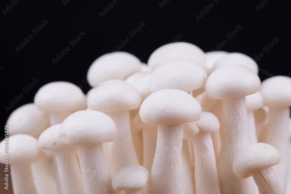 mushrooms