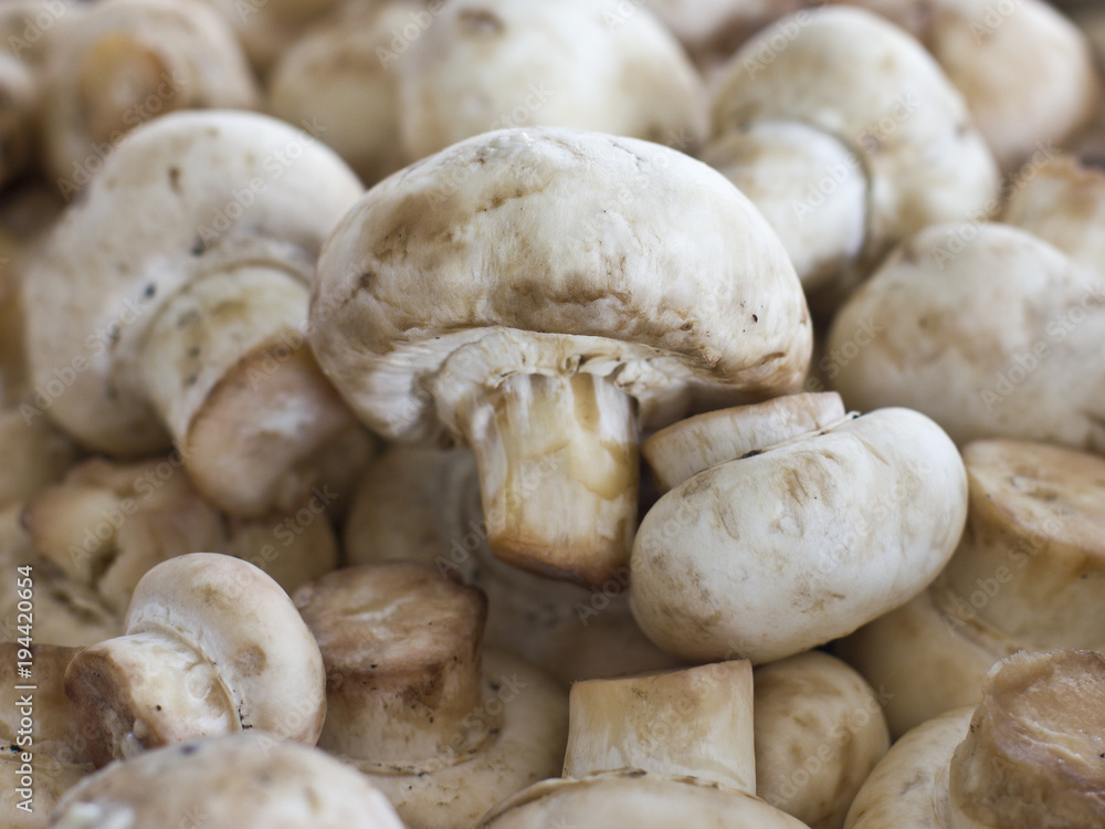 Peeled raw mushrooms champignons close-up. Selective focus Peeled raw mushrooms champignons close-up. Selective focus