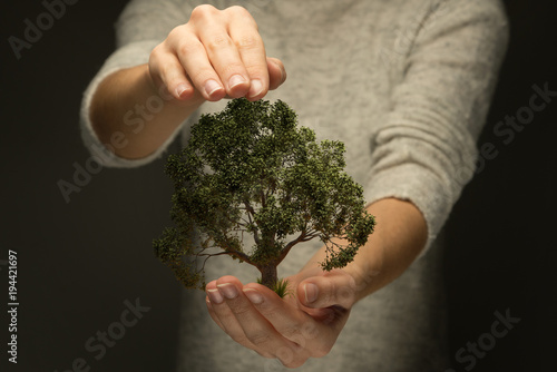 Person hält Hand schützend über Baum