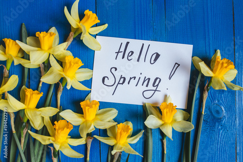 Fototapeta Naklejka Na Ścianę i Meble -  Bright yellow narcissus or daffodil flowers on blue background. Place for text.