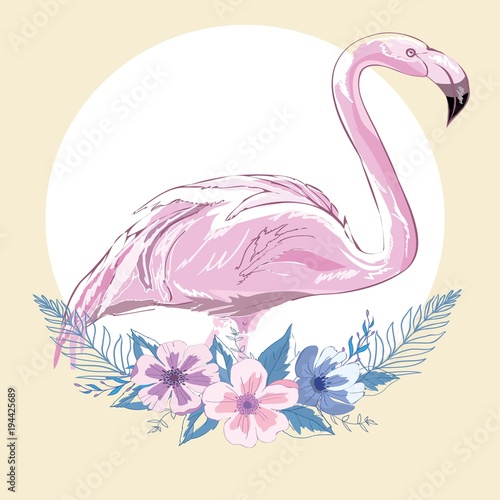 Pink flamingo vector illustration