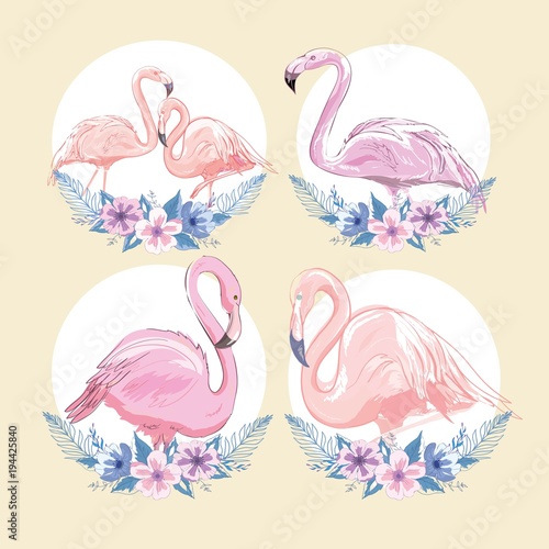 Pink flamingo vector illustration