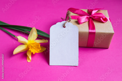 Fototapeta Naklejka Na Ścianę i Meble -  Bright yellow narcissus or daffodil flowers and greeting card and gift on pink background. Selective focus.