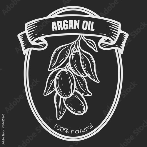 Argan vector drawing nut oil, fruit, berry, leaf, branch, plant.