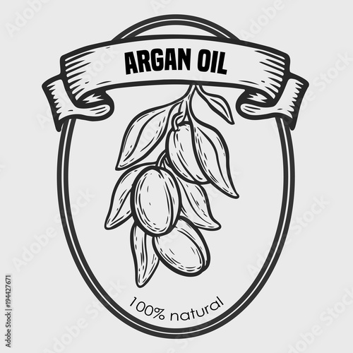 Argan vector drawing nut oil, fruit, berry, leaf, branch, plant.