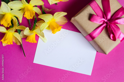 Fototapeta Naklejka Na Ścianę i Meble -  Bright yellow narcissus or daffodil flowers and greeting card and gift on pink background.