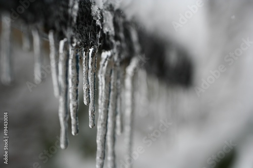 lange Eiszapfen im kalten Winter im Hintergrund Schnee photo