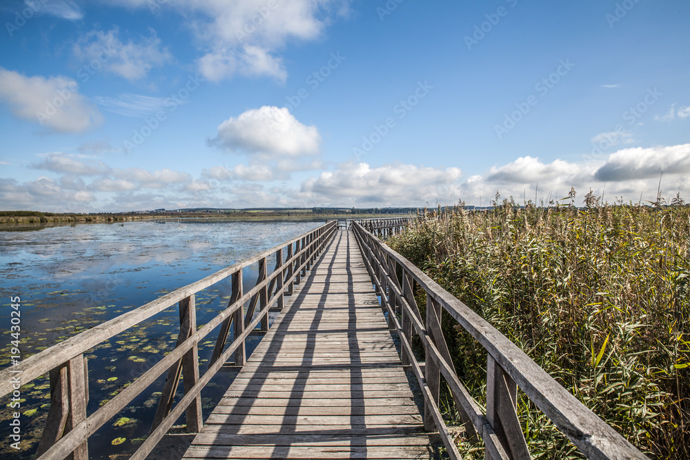 Steg zum Federsee in Bad Buchau Deutschland
