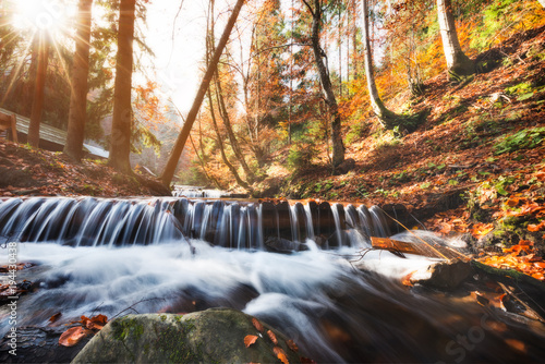 Fototapeta Naklejka Na Ścianę i Meble -  Amazing autumn scenery with yellow leaves on small branch above stream of mountain waterfall. Beautiful nature background.