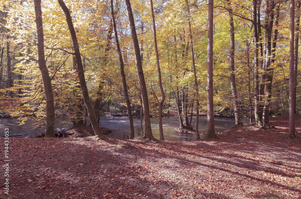 Fototapeta premium Würmtal im Herbst