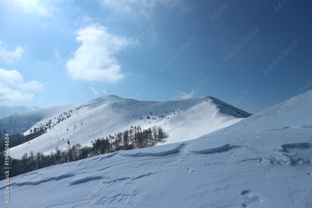 winter landscape in the snow-capped mountains