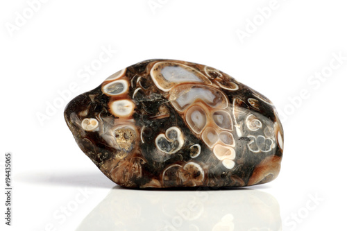 Set Rock stone with names, isolated on a white background with shadow,  beautiful lighting, reflections. Turtle Jasper.