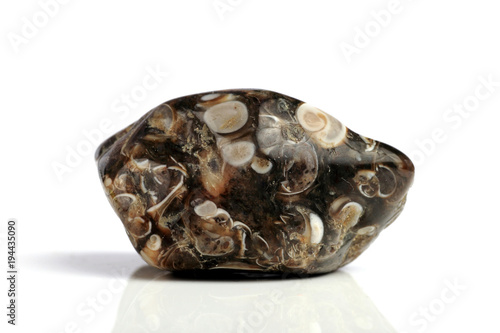 Set Rock stone with names, isolated on a white background with shadow,  beautiful lighting, reflections. Turtle Jasper.