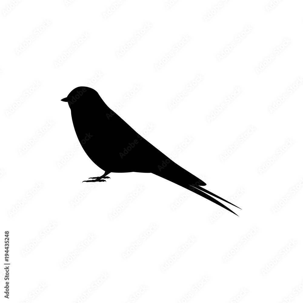 Obraz swallow bird vector silhouette