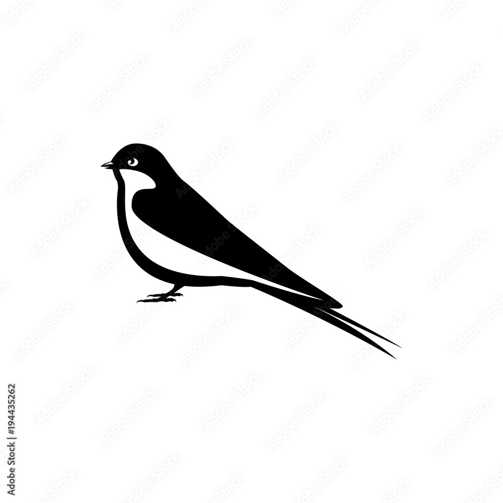 Obraz premium swallow bird vector silhouette