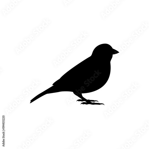 sparrow vector silhouette