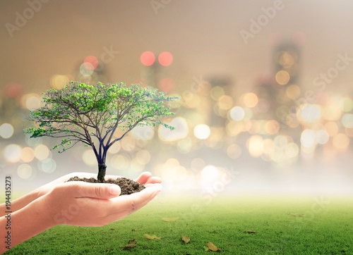 World environment day concept: Human hand holding big tree over beautiful nature background