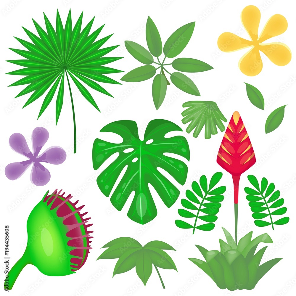 Rainforest and jungle plants set. Tropical leaves collection. Vector  illustration. Cartoon style. Stock Vector | Adobe Stock