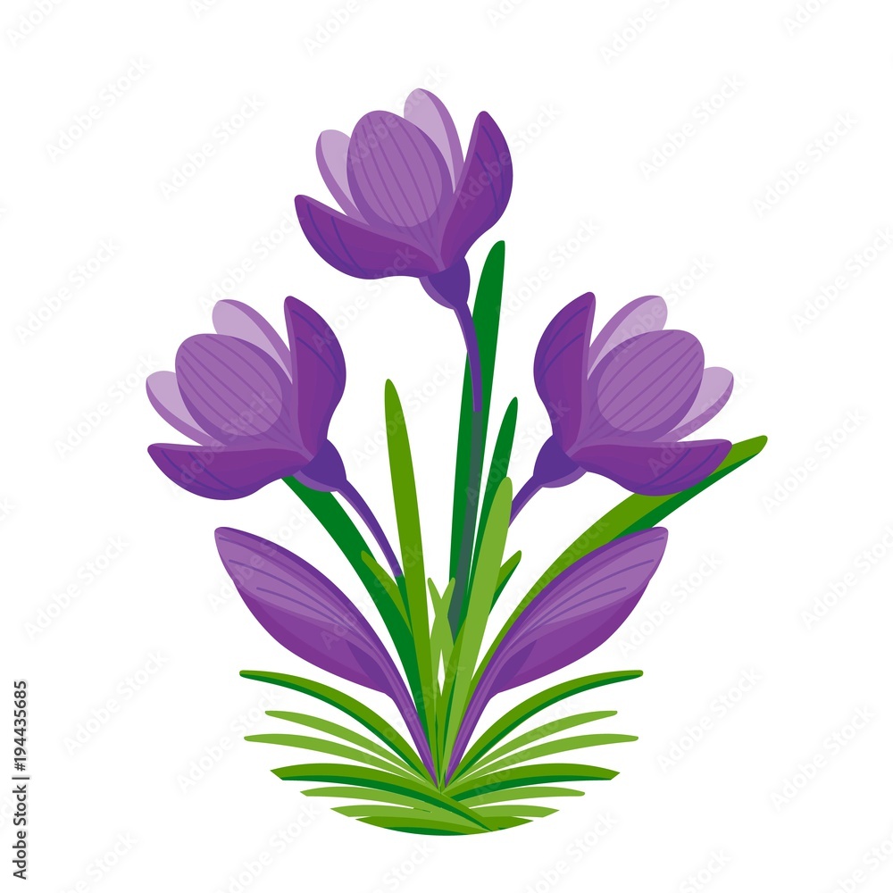 Spring Bouquet of crocuses for woman gift. Violet bloom. Vector illustration.
Cartoon style Spring Bouquet of crocuses for woman gift. Violet bloom. Vector illustration.
Cartoon style