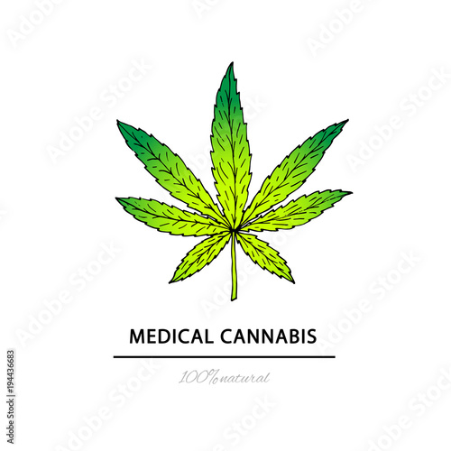 Illustration of medical cannabis. Suitable for use  in the desig