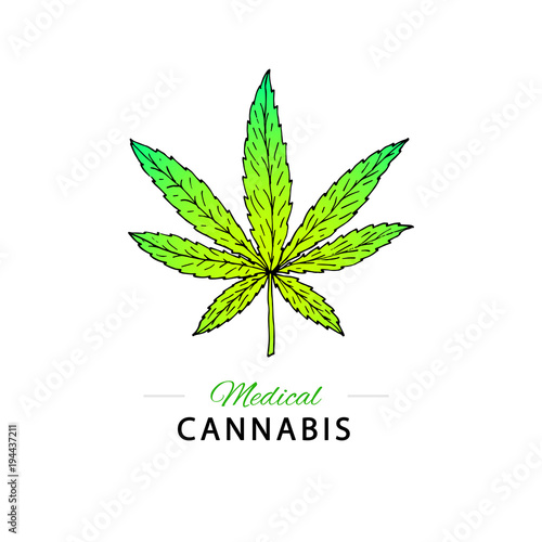 Illustration of medical cannabis. Suitable for use  in the desig