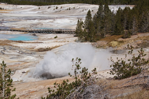 Colorful landscape in Porcelain Basin of Norris Geyser Basin in Yellowstone National Park in Wyoming in the USA 