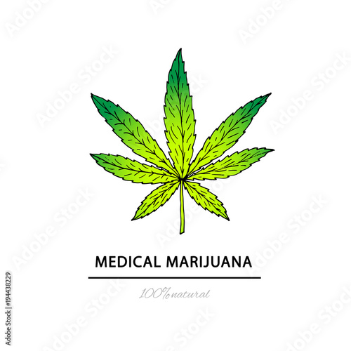 Illustration of medical marijuana. Suitable for use  in the desi