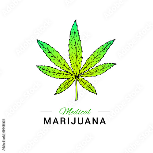 Illustration of medical marijuana. Suitable for use  in the desi