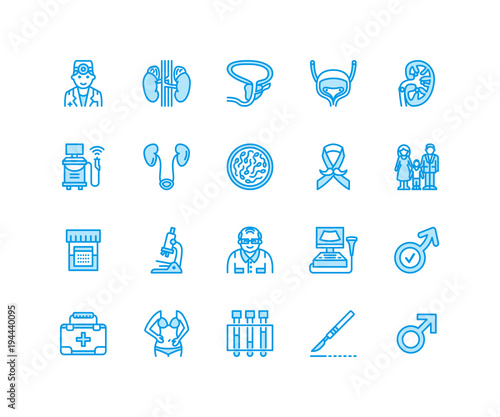 Urology vector flat line icons. Urologist, bladder, kidneys, adrenal glands, prostate. Linear medical pictograms with editable stroke for clinic, potency problem. Pixel perfect 64x64.