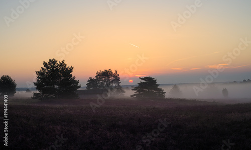 Lüneburger Heide bei Sonnenaufgang und Nebel