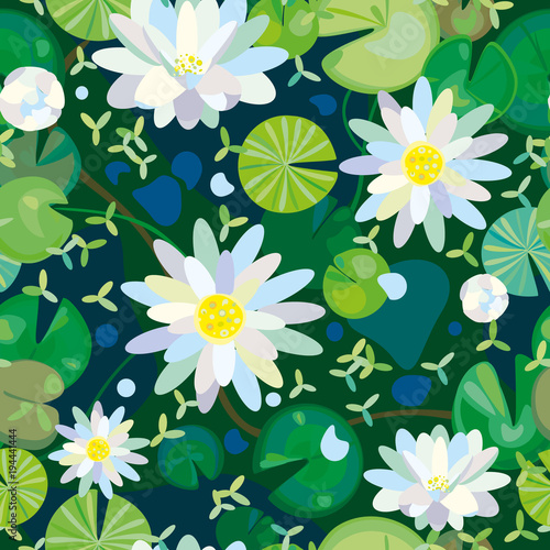 Quadro em tela white fluffy water-lilies on juicy green leaves in a pond