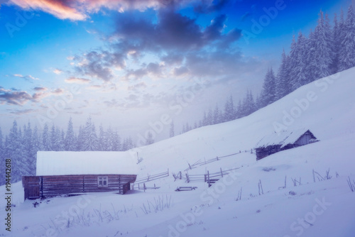 Wallpaper Mural wooden house in winter forest in Crrpathian mountains Torontodigital.ca