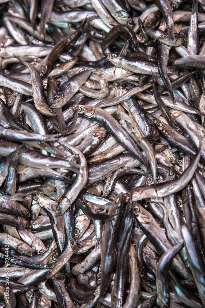 Fresh smelt, capelin or caplin fish. Selective focus