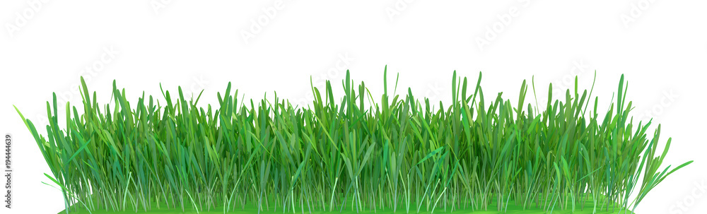 Fototapeta premium Green grass. Natural grass texture background. Meadow. Spring, summer season. Plant growth 3d rendering
