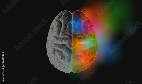 Brain illustration with gray and colorful concept