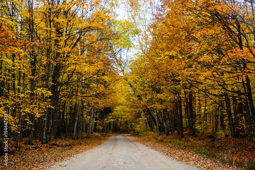 Fall road in forest of Pictured Rocks National Lakeshore Munising. Trees tunnel. © VirtualV