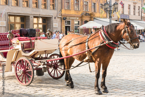  Horse drawn to the cab, Wroclaw, Old Town