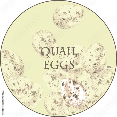 
Variegated quail eggs in pastel shades. Little eggs for Easter
