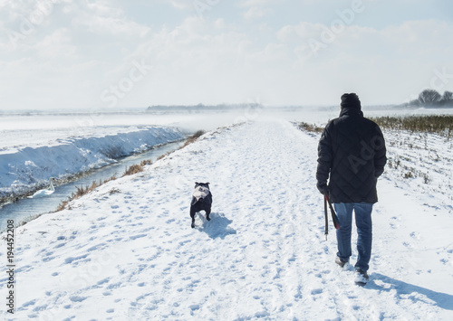 man in a big coat walking a black staffordshire bull terrier dog on a winter day with snow on the ground and wind blowing snow across fields in Kent. There is a dyke with a swan. photo
